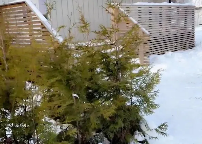 Gardermoen Airport, 5min Vakantiehuis *